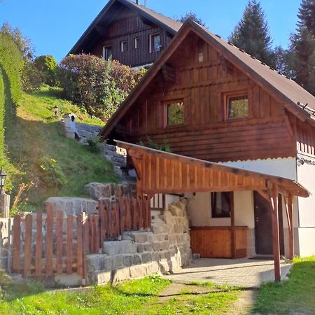 Apartman Albrecht Albrechtice v Jizerskych horach Exteriör bild