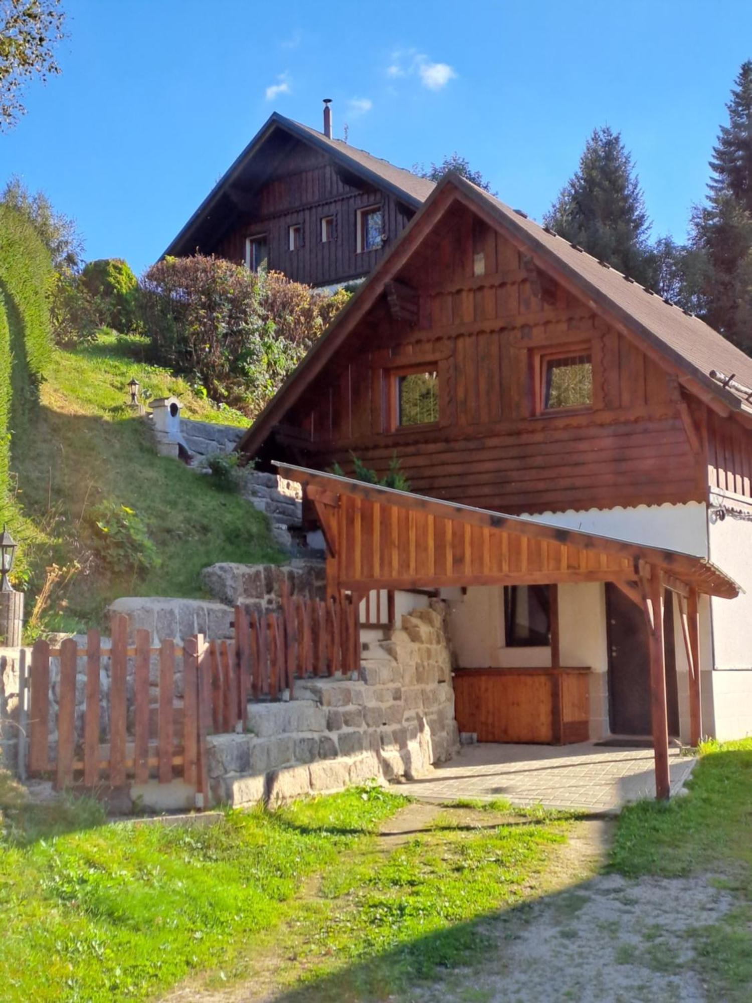Apartman Albrecht Albrechtice v Jizerskych horach Exteriör bild